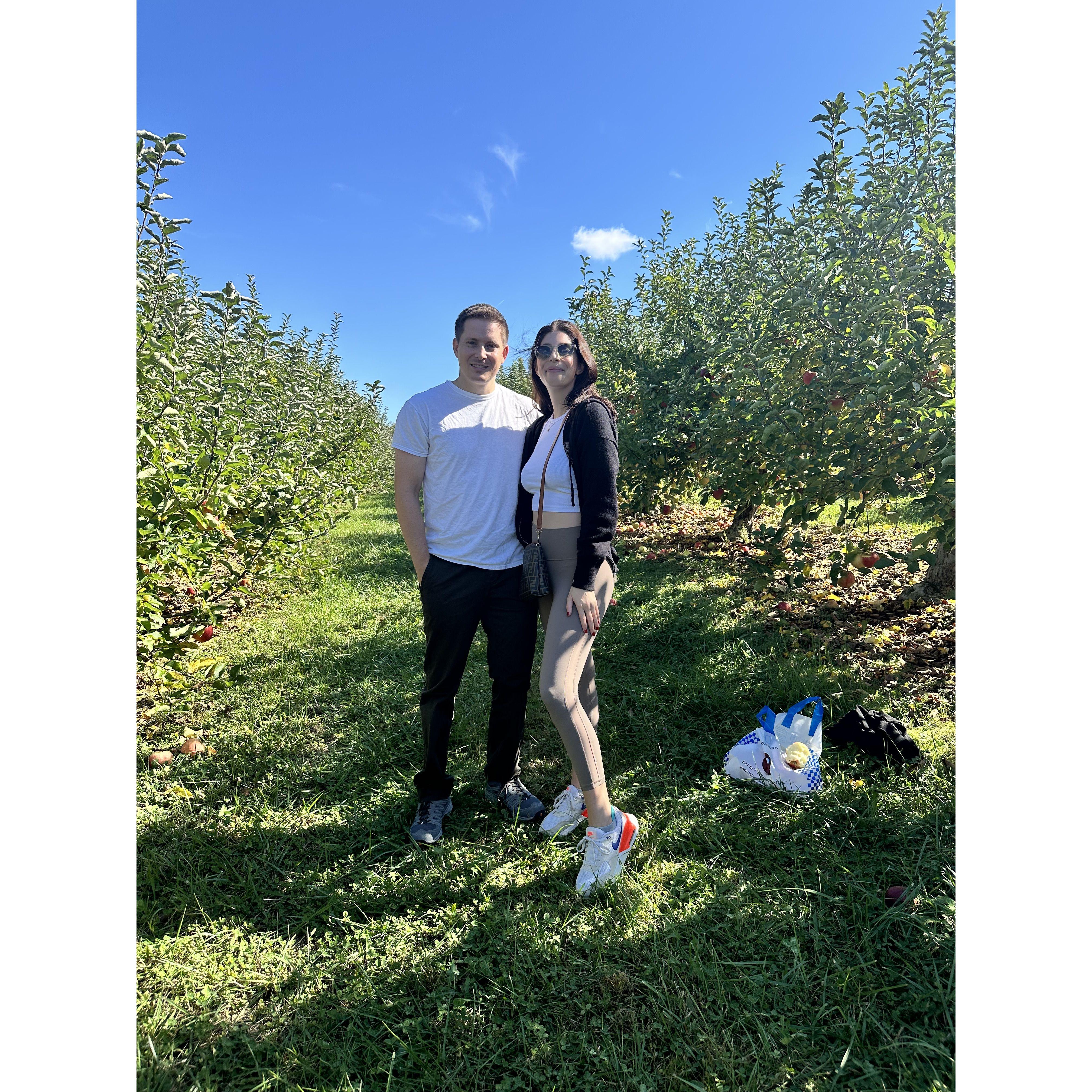 Apple-picking Upstate