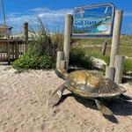 Gulf State Park Fishing Pier