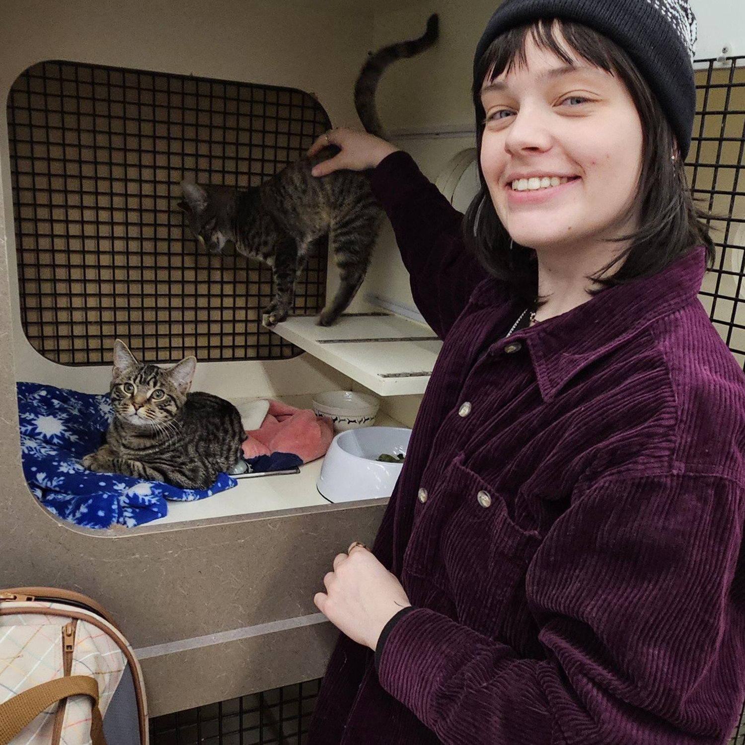 Adopting Gus and Junie! We set out for one cat and couldn't leave without both