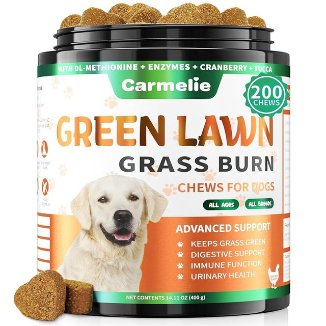 Carmelie Dog Urine Neutralizer for Lawn Grass Burn – Dog Pee Grass Chews 200ct Green Grass Burn Spot Chews for Dogs with DL-Methionine, Probiotics & Enzymes – Supports Urinary & Digestive Health