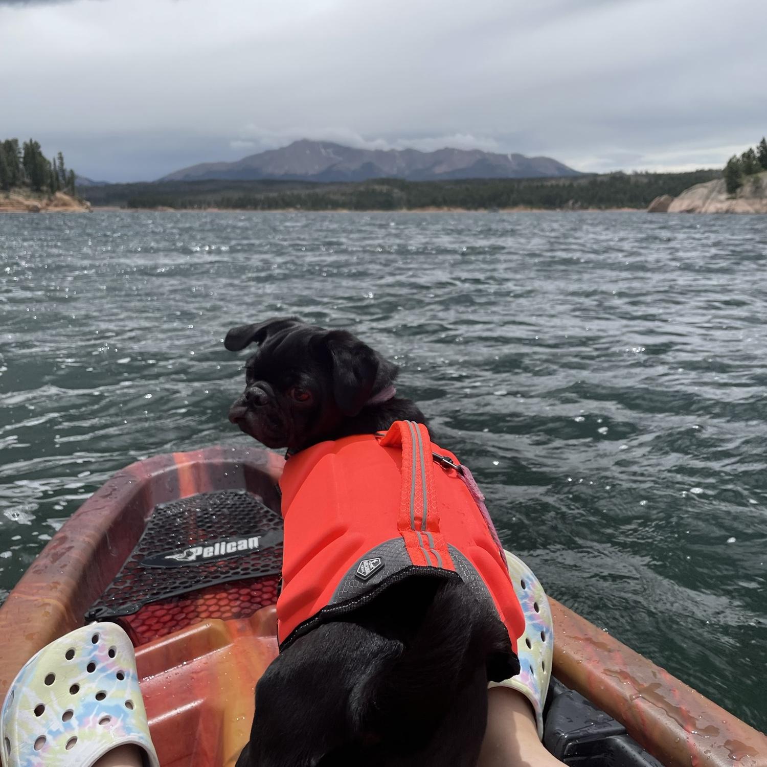 Olives first kayaking experience