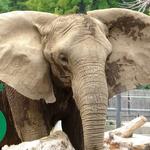 Milwaukee County Zoo