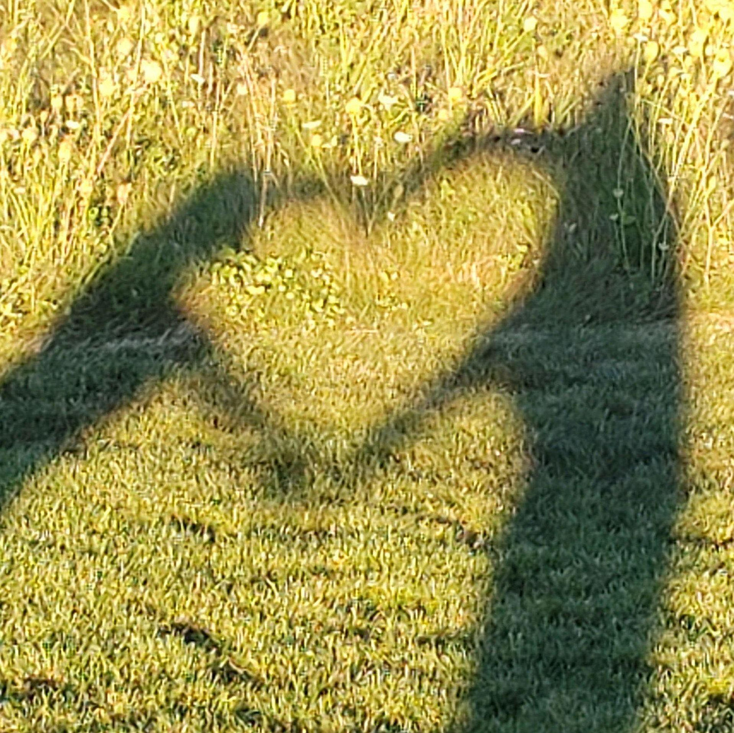 Our love story to be continued...