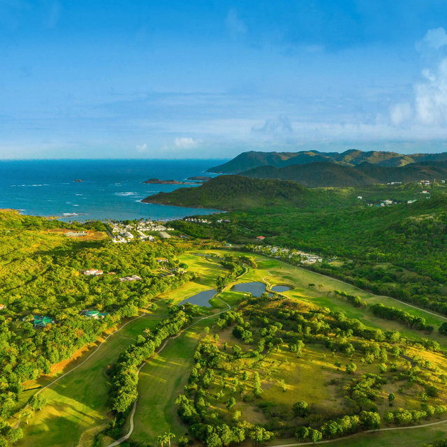 Golf on the Honeymoon