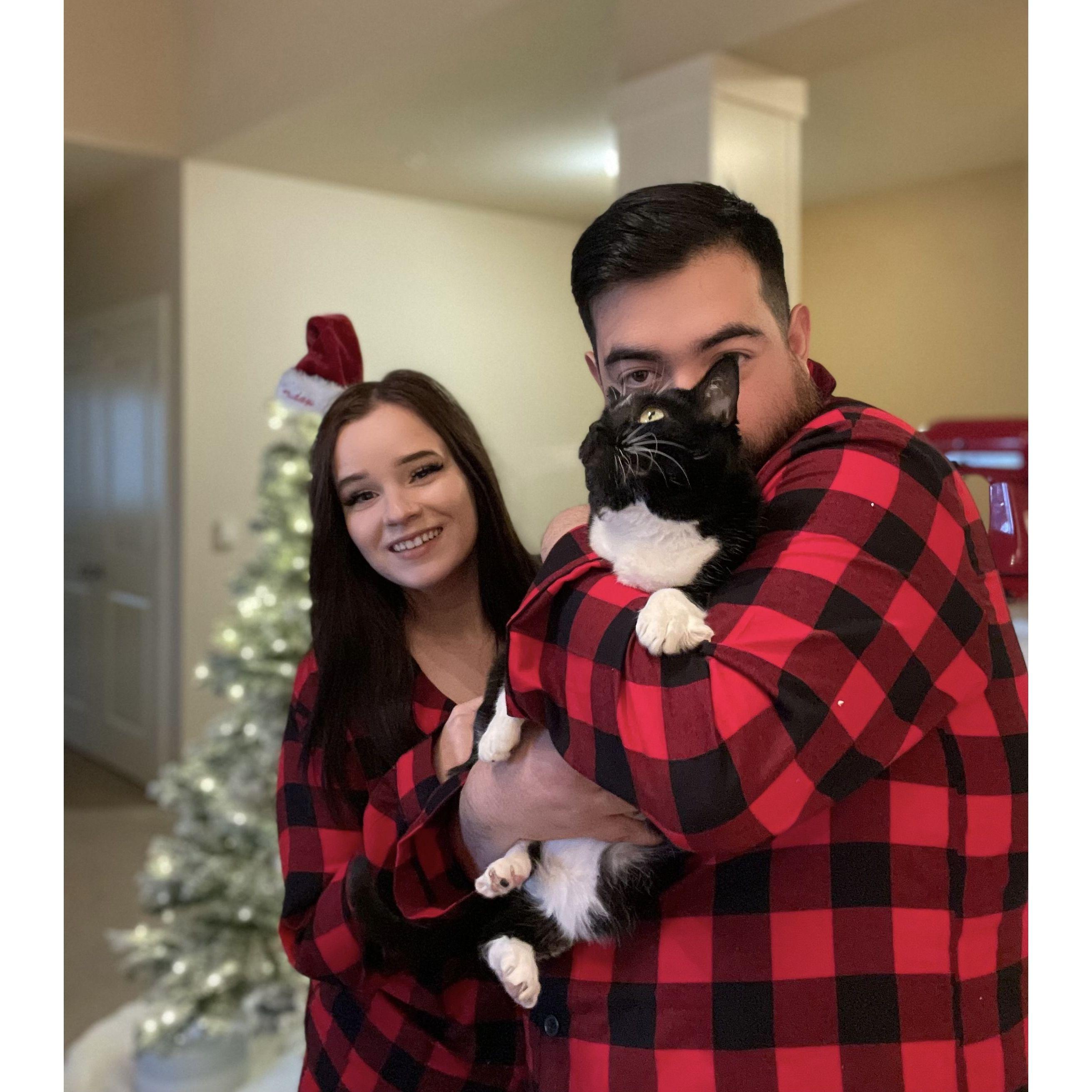 2022 Christmas Photos! 1 out of 2 kitties in the photo, this is the girl named Arwen.
¡Fotos navideñas 2022! 1 de cada 2 gatitos en la foto, esta es la niña llamada Arwen.