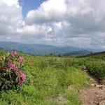 Black Balsam Art Loeb South Trailhead