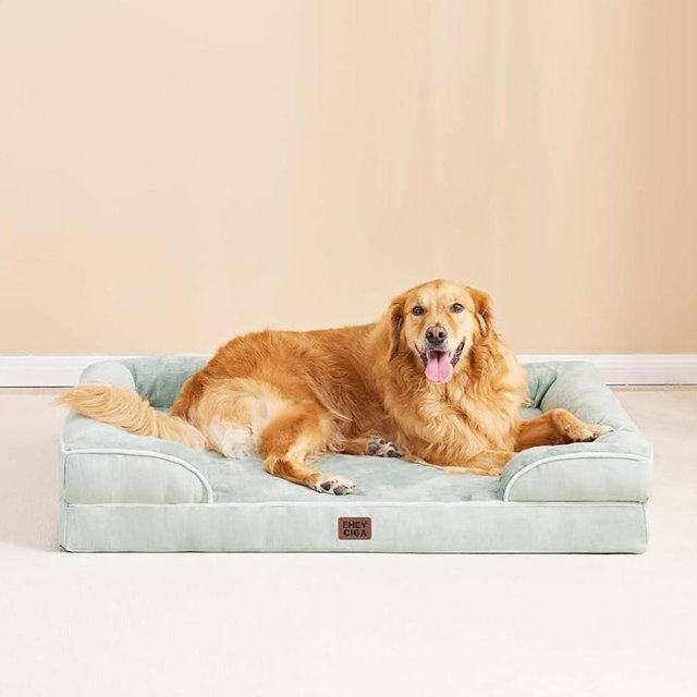 Orthopedic Dog Bed, Sage Green