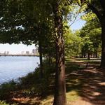 Stroll along the Esplanade