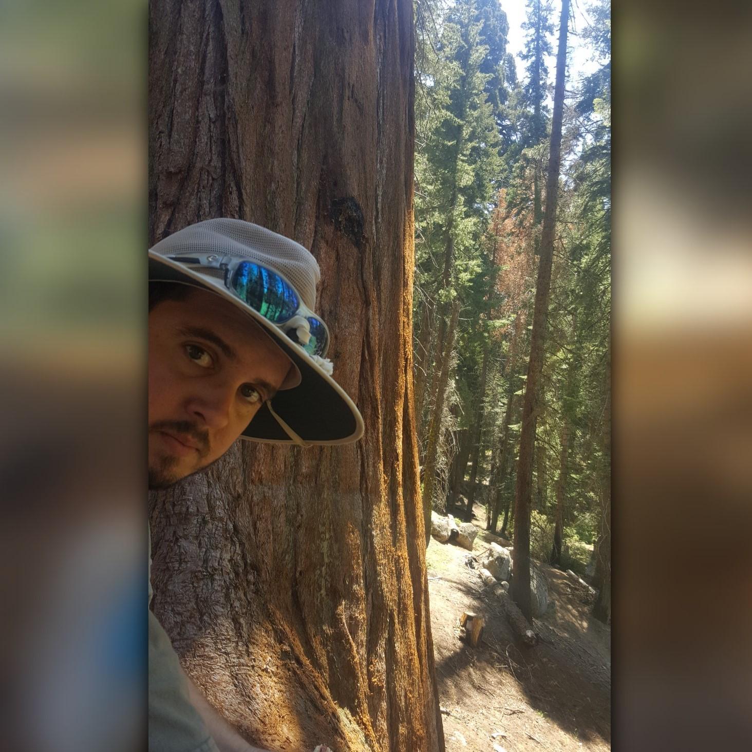 lunch break next to a giant sequoia