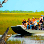 Ride through the Everglades