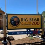 Big Bear Alpine Zoo