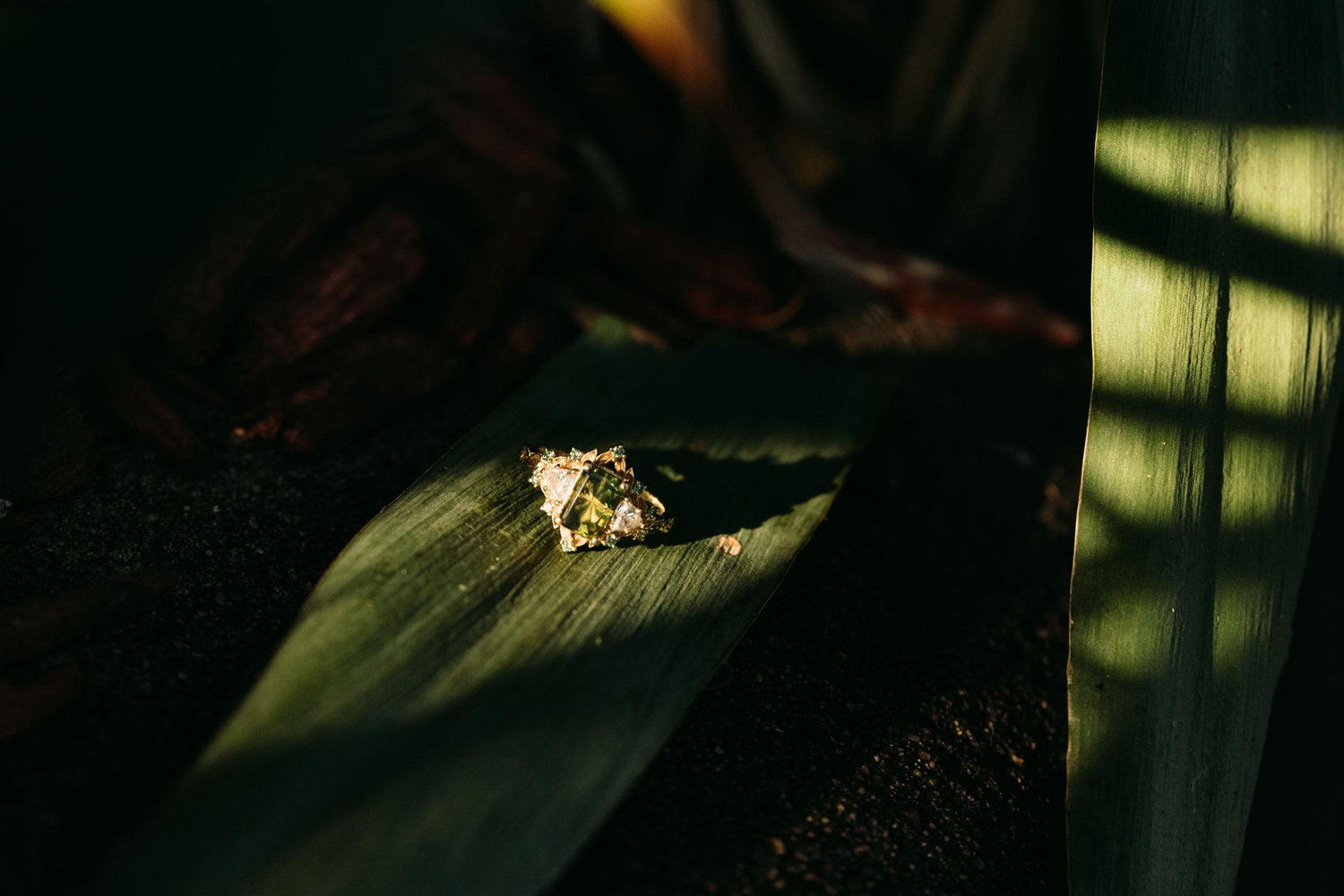 The Wedding Website of Mikayla Carlson and Kyle Powley