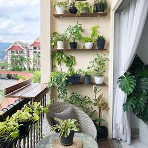 Back Patio Renovation Fund!