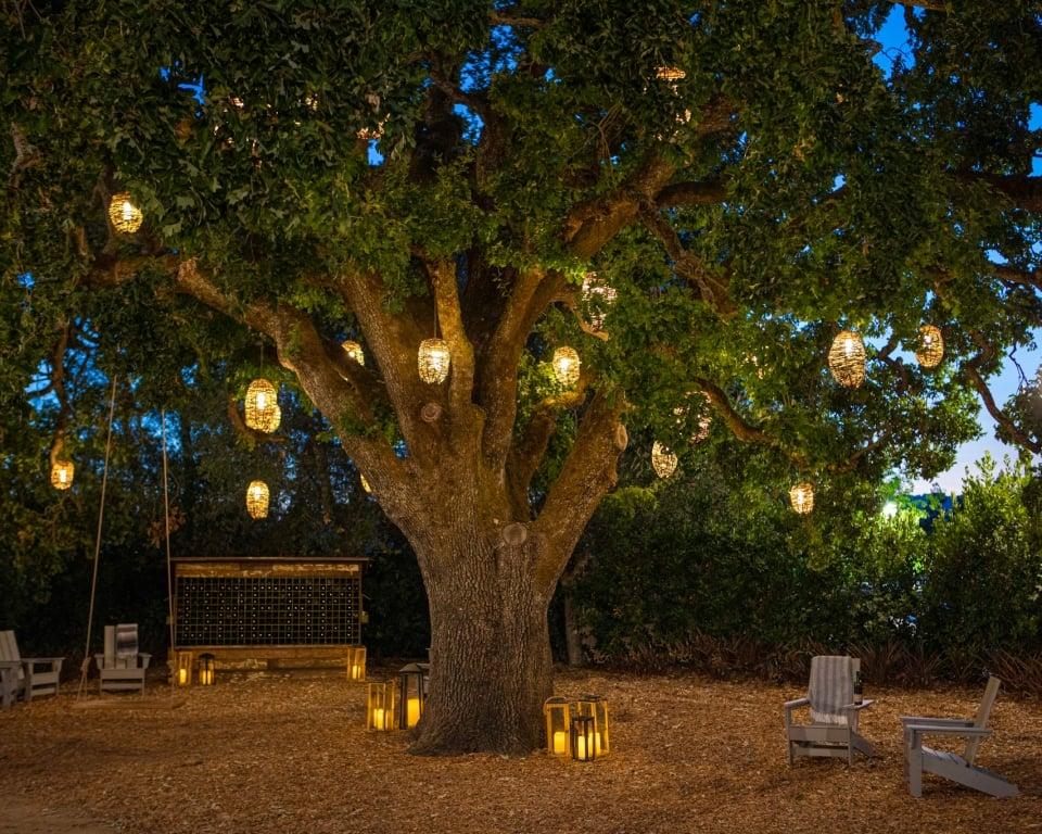 The Wedding Website of CHRISTINA PATTON and WILLY SULLIVAN