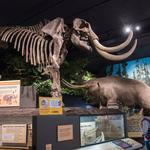 RMSC (Rochester Museum & Science Center)