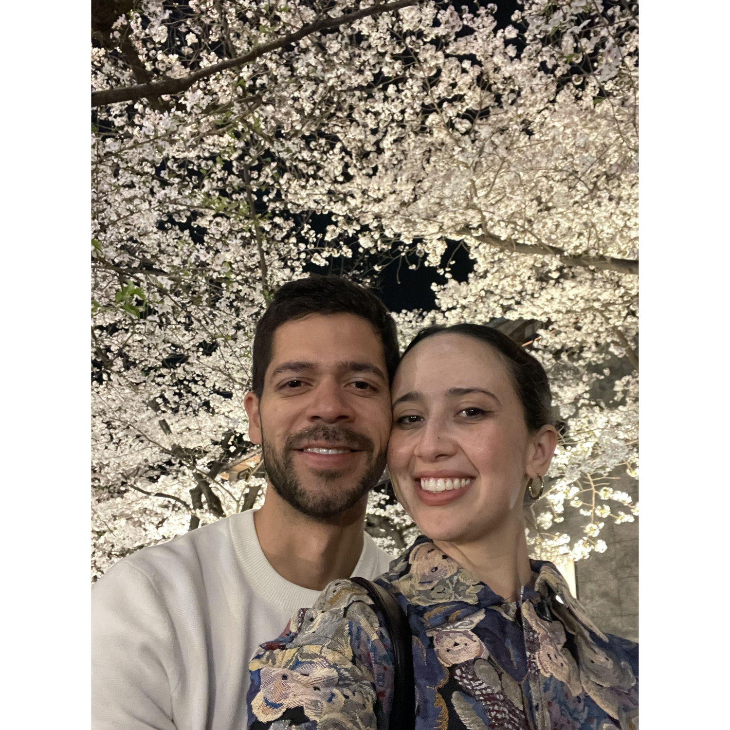 En Kyoto 🌸 tuvimos mucha suerte de coincidir con el florecimiento de los árboles de sakura.