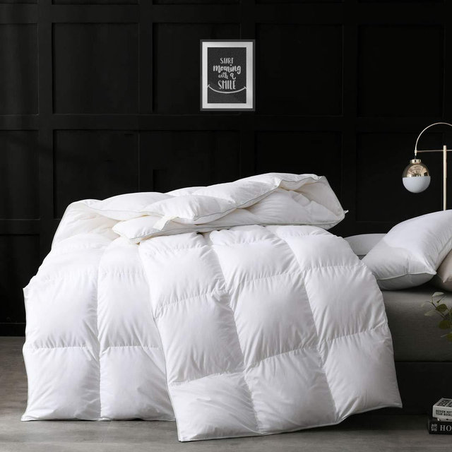 APSMILE Ultra-Soft Feather Down Comforter King - All Season Hotel-Style Feather Down Duvet Insert with Ties (106x90, White)