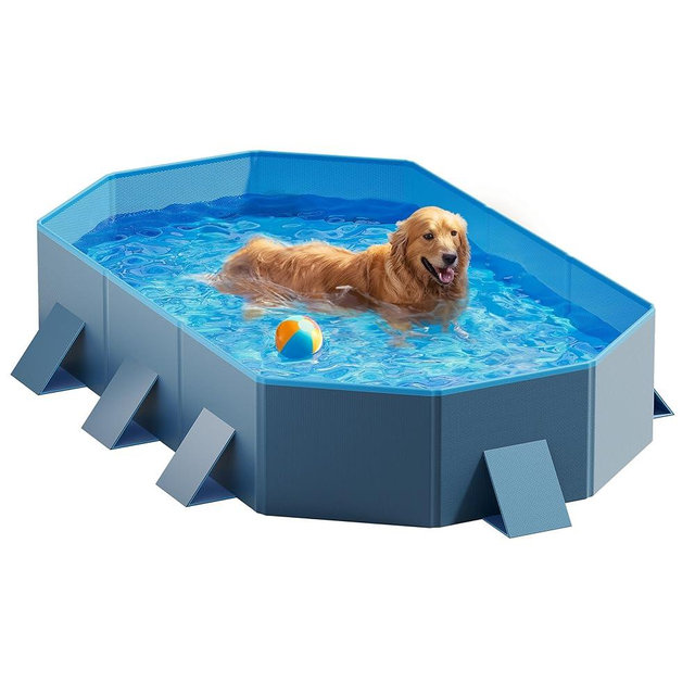 Peteast Foldable Dog Pool with Sturdy Square Design, Durable 71" Lx39 Wx12 D Extra Large Portable Pet Bathtub with Reinforced Sidewalls for Stability, Ideal for Indoor & Outdoor Use (Blue&Dark Gray)