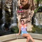 Flamingo Wildlife Habitat
