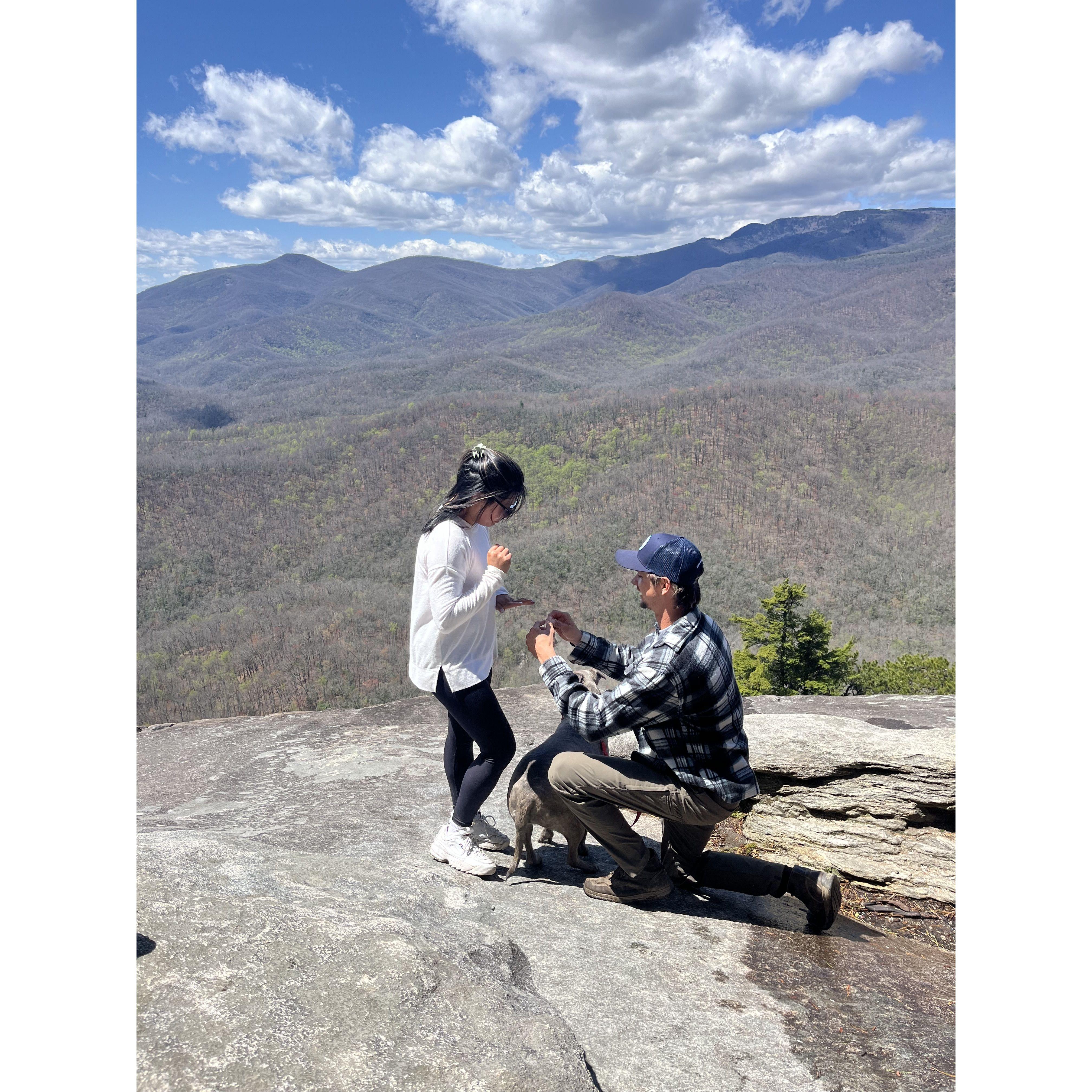 THE proposal!!! Let's take a moment for that view! -Apr 2024