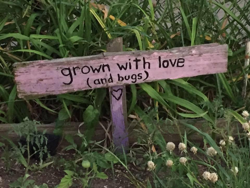 The Wedding Website of Jackie Fishman and Scott Friedman