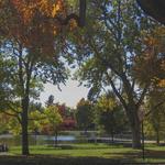 Washington Park