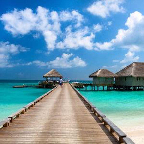 Honeymoon Fund