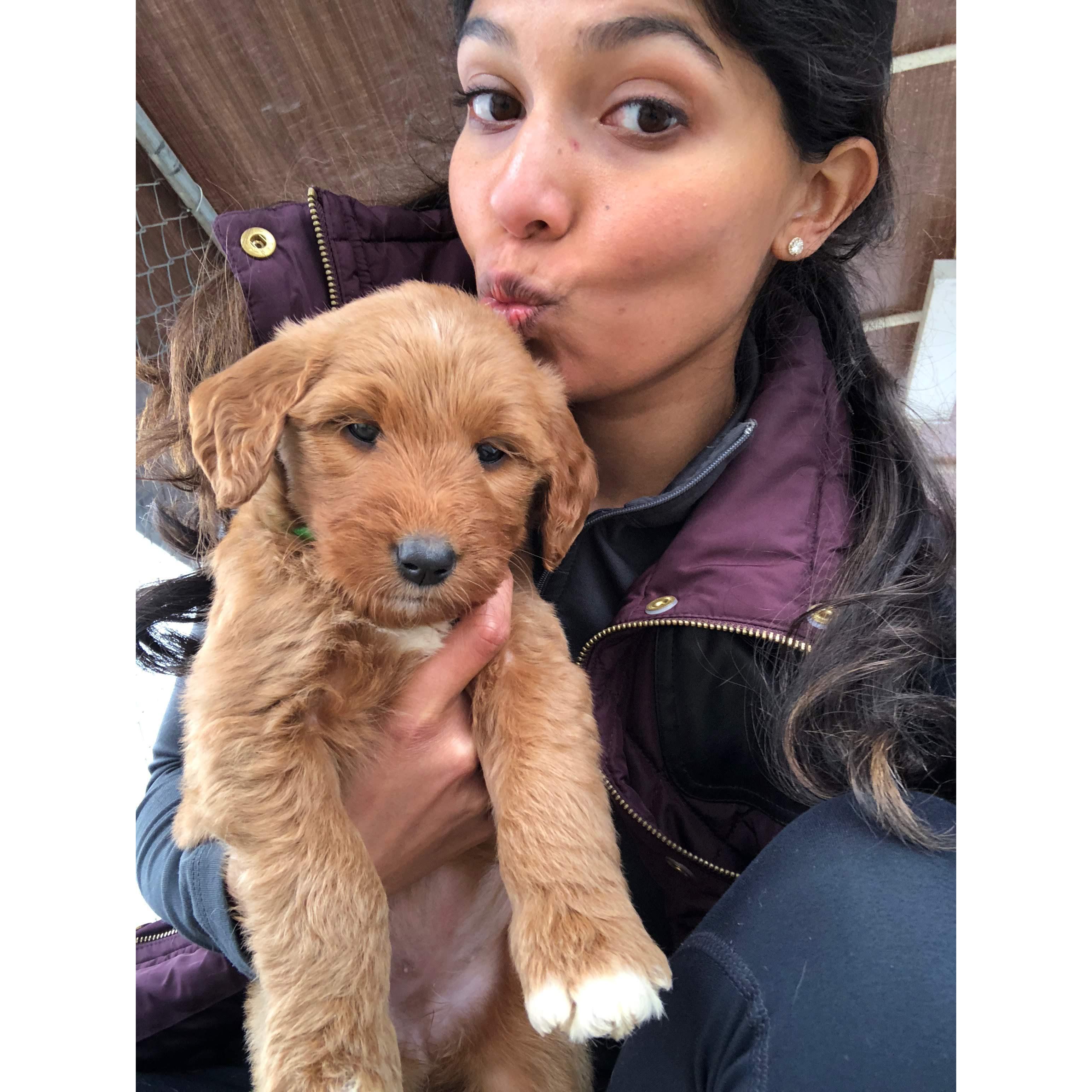 Manali picking out Nori from the litter! 2018