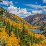 Leaf Peeping