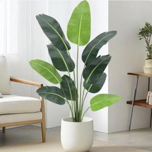 New Houseplant