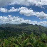 El Yunque National Forest
