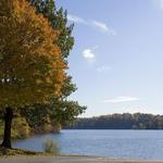Marsh Creek State Park