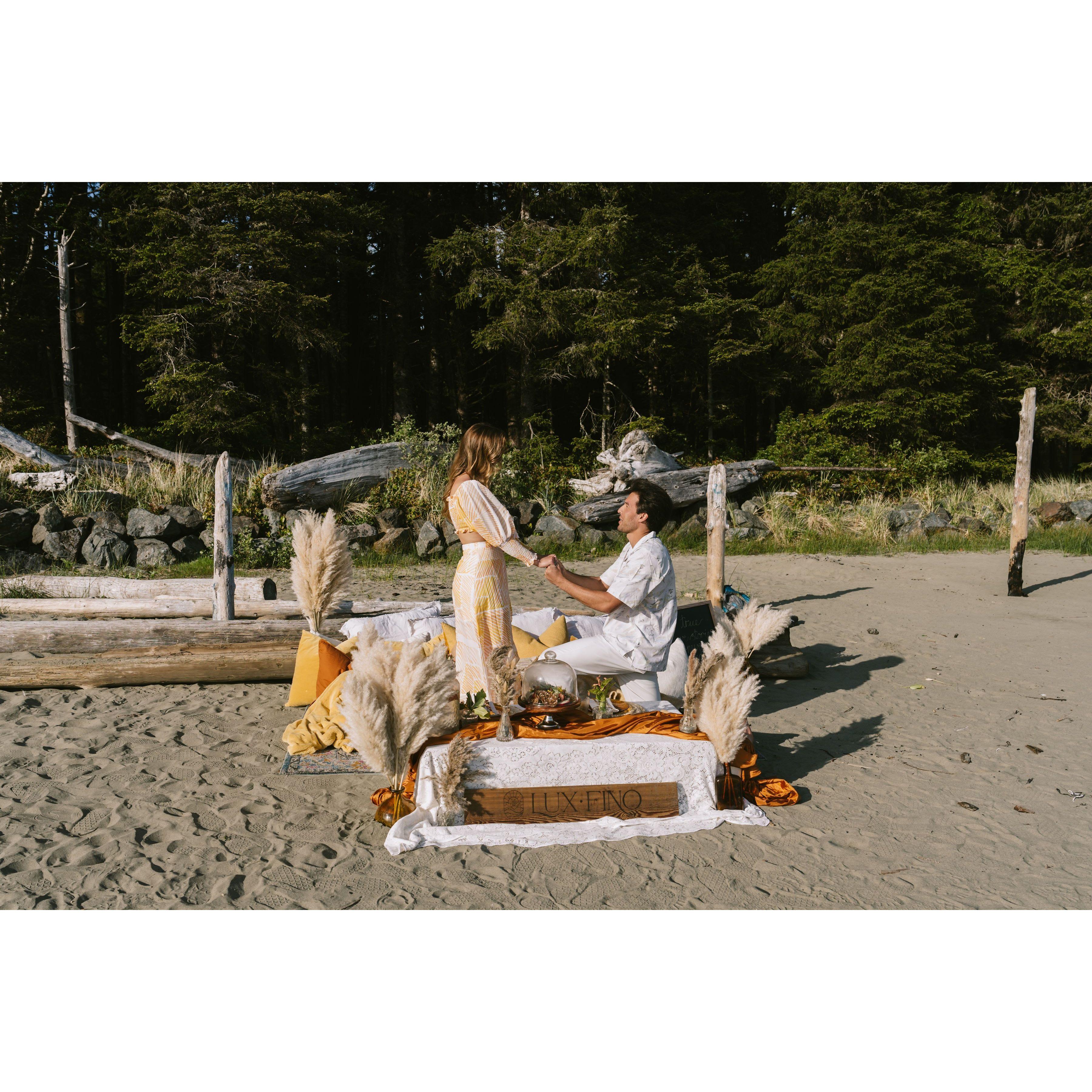 The official proposal