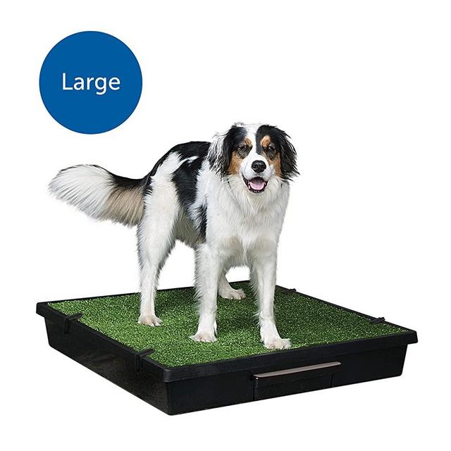 PetSafe Pet Loo Portable Indoor/Outdoor Dog Potty, Alternative to Puppy Pads, 3 Size Options for Small, Medium and Large Breeds