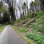 Mill Creek Preserve