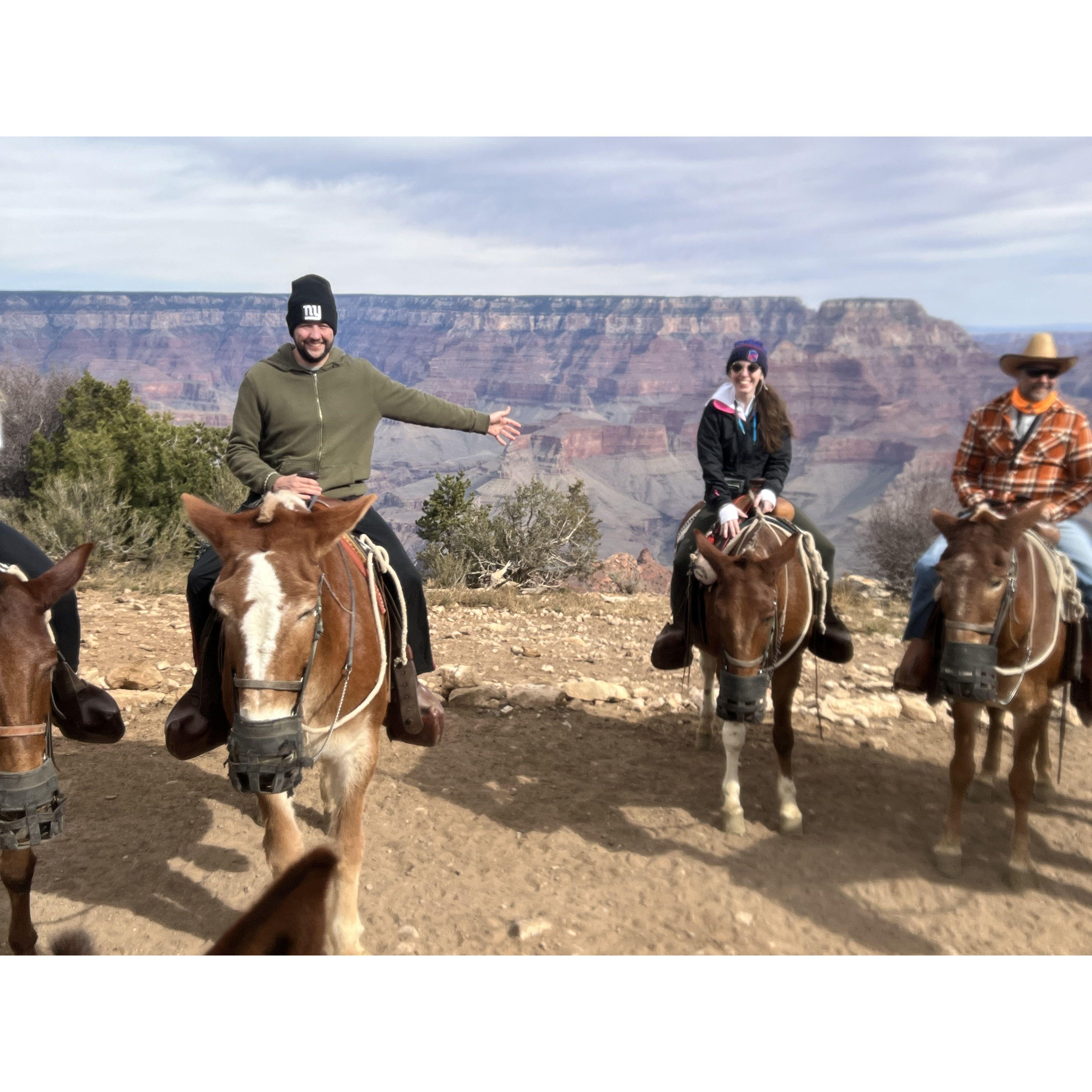 Grand Canyon mule ride 2021