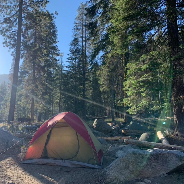 New Camping Gear