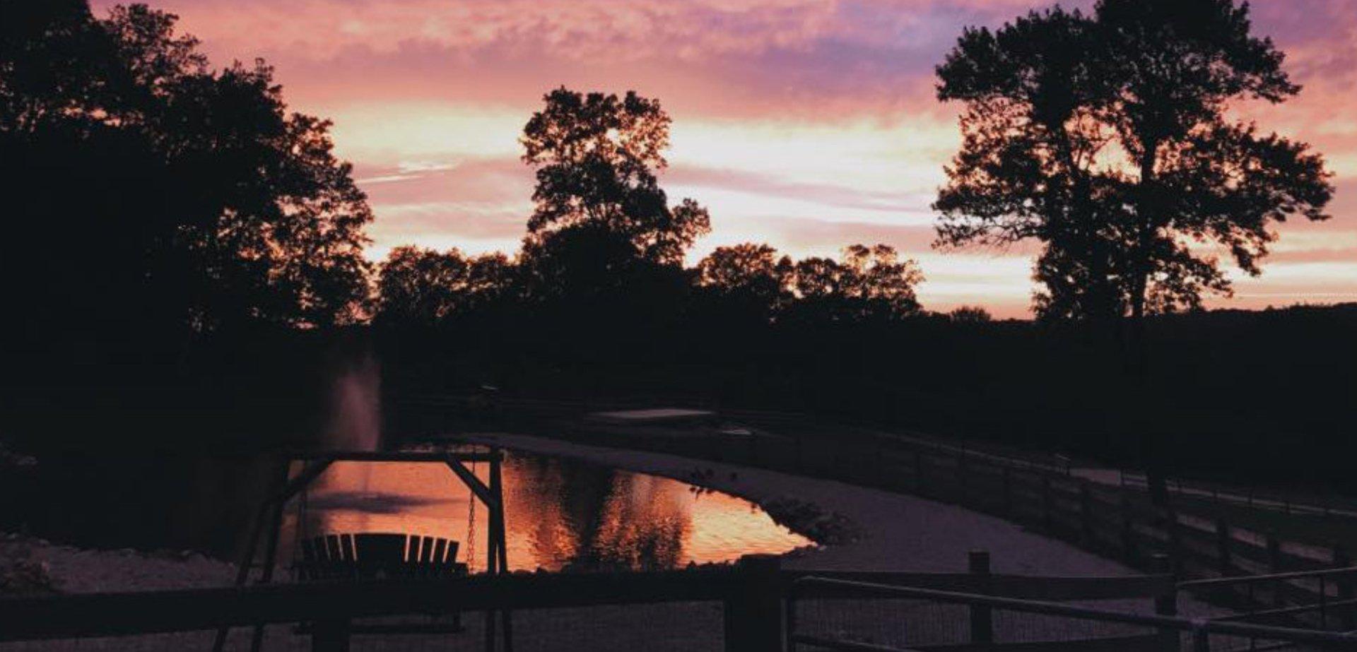 The Wedding Website of Rachel Schultz and Nick Massari
