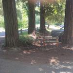 Alternative Parking Lot #2: Wayside Lot