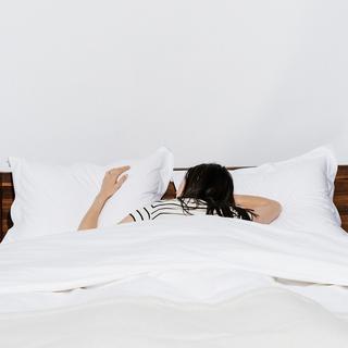 Sateen Euro Sham