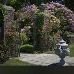 Planting Fields Arboretum