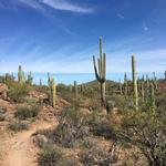 Sweetwater Preserve Trailhead