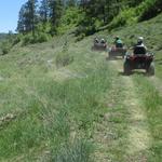 ATVs, Jeeps, and 4-Wheeling
