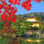 金閣寺(Kinkaku-ji)