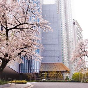 Honeymoon Accommodations Fund