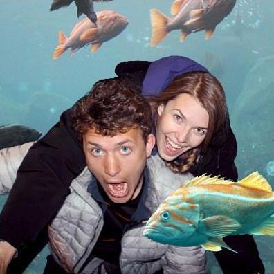 Alaska SeaLife Center, Seward, Alaska, 2017