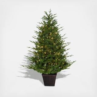 Adirondack Pre-Lit Potted Christmas Tree