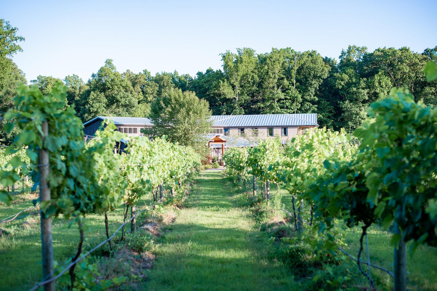 The Wedding Website of Jasmine Jones and Andrew Grider