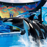 SeaWorld Orlando