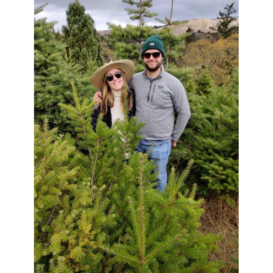 Getting our first Christmas tree